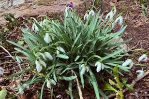 67 Stonehenge Rd, South Kingstown, RI 02881 - Photo 36