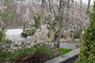 44 Rockridge Rd, Westerly, RI 02891 - Photo 28