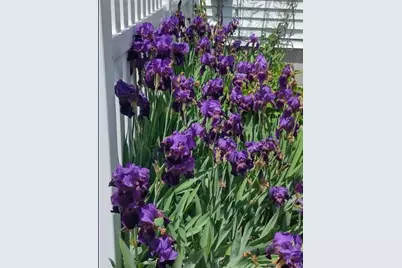 26 Potomac Road, Warwick, RI 02888 - Photo 30