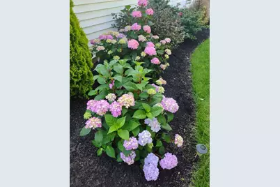 26 Potomac Road, Warwick, RI 02888 - Photo 46