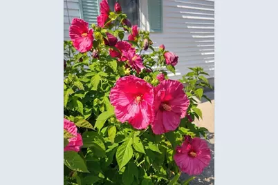 26 Potomac Road, Warwick, RI 02888 - Photo 6