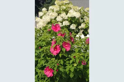 26 Potomac Road, Warwick, RI 02888 - Photo 42