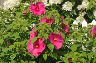 26 Potomac Rd, Warwick, RI 02888 - Photo 42