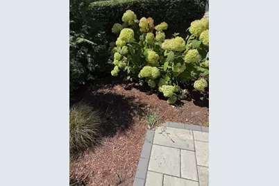 42 Marlborough Street, East Greenwich, RI 02818 - Photo 14