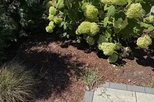 42 Marlborough St, East Greenwich, RI 02818 - Photo 14