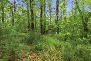 250 Spring Lake Rd, Burrillville, RI 02826 - Photo 44