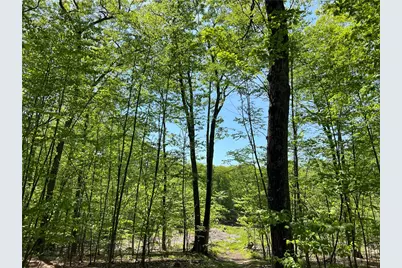 120 Mapleville Road, Smithfield, RI 02828 - Photo 6