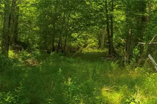 0 Lawton Foster Rd, Hopkinton, RI 02833 - Photo 1