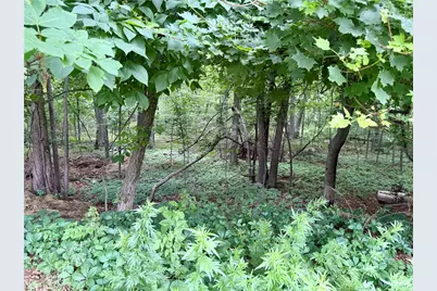 35 Brookdale Street, Cumberland, RI 02864 - Photo 20