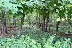 35 Brookdale St, Cumberland, RI 02864 - Photo 20