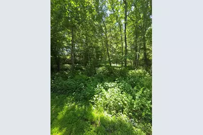 85 Diamond Hill Road, Hopkinton, RI 02833 - Photo 2