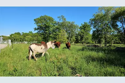 241 Cornell Road, Tiverton, RI 02878 - Photo 28