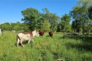 241 Cornell Rd, Tiverton, RI 02878 - Photo 28