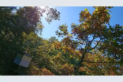 241 Cornell Road, Tiverton, RI 02878 - Photo 40