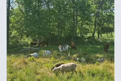 241 Cornell Road, Tiverton, RI 02878 - Photo 22