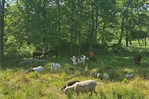 241 Cornell Rd, Tiverton, RI 02878 - Photo 22