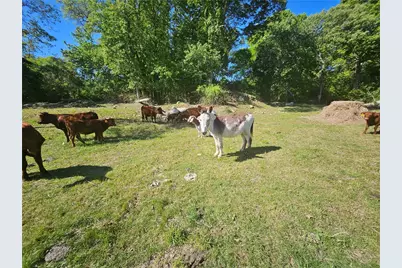 241 Cornell Road, Tiverton, RI 02878 - Photo 30