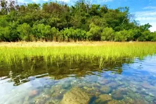 907 Coast Guard Rd, Block Island, RI 02807 - Photo 36