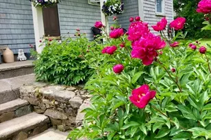 47 Sherman Ave, Bristol, RI 02809 - Photo 8