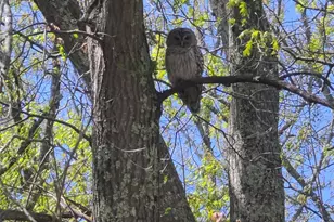 522 Williams Crossing Rd, Coventry, RI 02816 - Photo 8