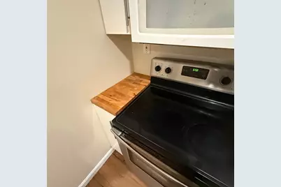 66 Borinquen Street #1, Providence, RI 02905 - Photo 8