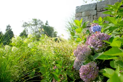 1062 Dunn Town Road, Block Island, RI 02807 - Photo 10