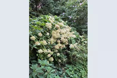 65 Hedgegrow Drive, Warwick, RI 02886 - Photo 8
