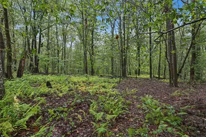 84 Red Maple Terrace, North Kingstown, RI 02852 - Photo 40
