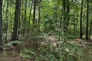 0 Yeles Ln, Hopkinton, RI 02873 - Photo 1