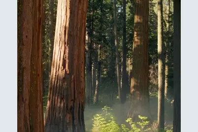 0 Woodward Road, Providence, RI 02904 - Photo 1