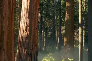 0 Woodward Rd, Providence, RI 02904 - Photo 1