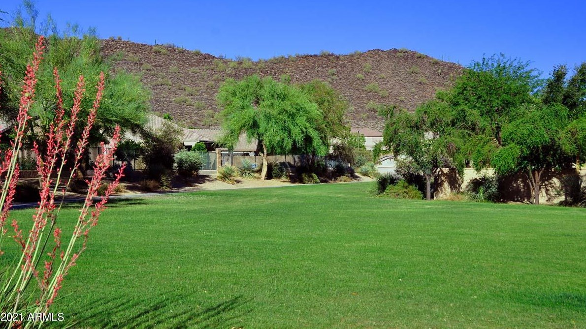 25403 Hackberry Dr, Phoenix AZ 85083-2452 exterior