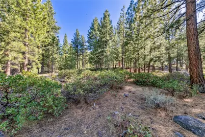 1205 Douglas Fir Drive, Reno, NV 89511 - Photo 22