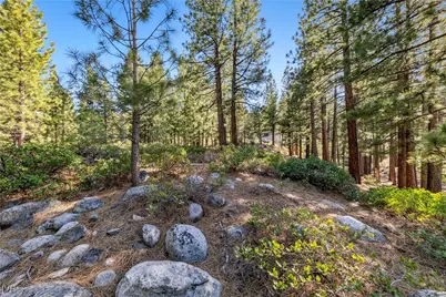 1205 Douglas Fir Drive, Reno, NV 89511 - Photo 24