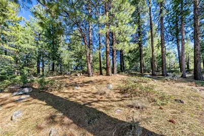 1205 Douglas Fir Drive, Reno, NV 89511 - Photo 20