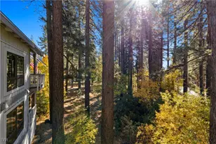 908 Harold, Incline Village, NV 89451 - Photo 40