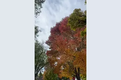 611 Nixon Avenue, Town out of Area, NV 89509 - Photo 10