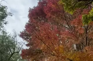 611 Nixon Ave, Town out of Area, NV 89509 - Photo 10