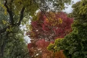 611 Nixon Ave, Town out of Area, NV 89509 - Photo 12