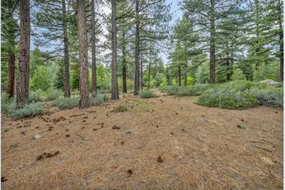 307 E Jeffrey Pine, Reno, NV 89511 - Photo 6