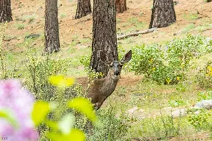 224 S Earlham Ct, Town out of Area, NV 89511 - Photo 4