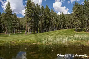 2147 The Back Rd, Glenbrook, NV 89413 - Photo 28