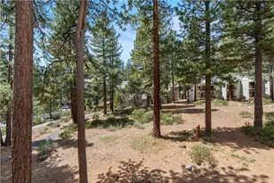 807 Alder, Incline Village, NV 89451 - Photo 18