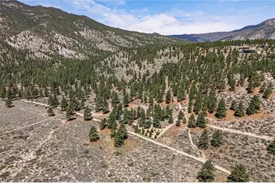 250 Jacks Valley Ranch, Town out of Area, NV 89705 - Photo 48