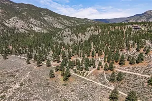250 Jacks Valley Ranch, Town out of Area, NV 89705 - Photo 48