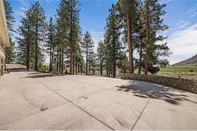 250 Jacks Valley Ranch, Town out of Area, NV 89705 - Photo 46