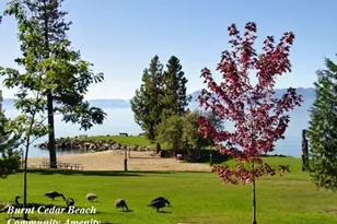 376 Country Club Dr, Incline Village, NV 89451 - Photo 38