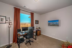2329 Seaberry Dr, , NV 89441 - Photo 30