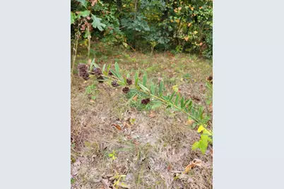 Lot 2 N 100 E, Lake Village, IN 46349 - Photo 8