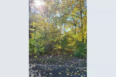 0 Chestnut Court, Ogden Dunes, IN 46368 - Photo 2